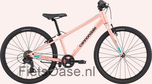 Cannondale Quick 24 beoordelingen en specificaties